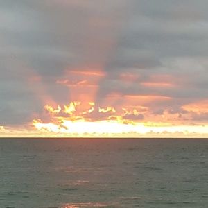 Meet your Posher, Frank